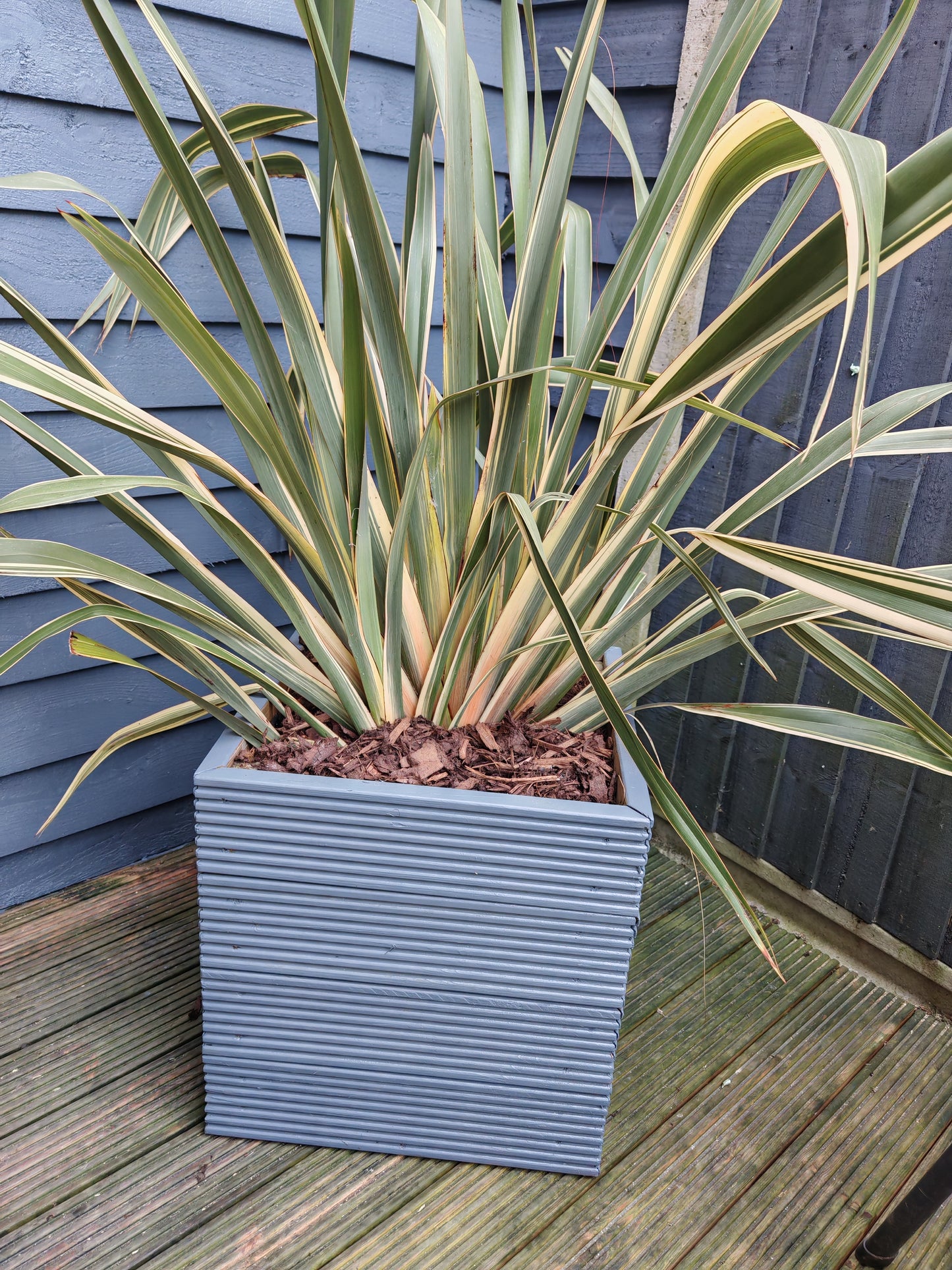 Square Wooden , decking Planter