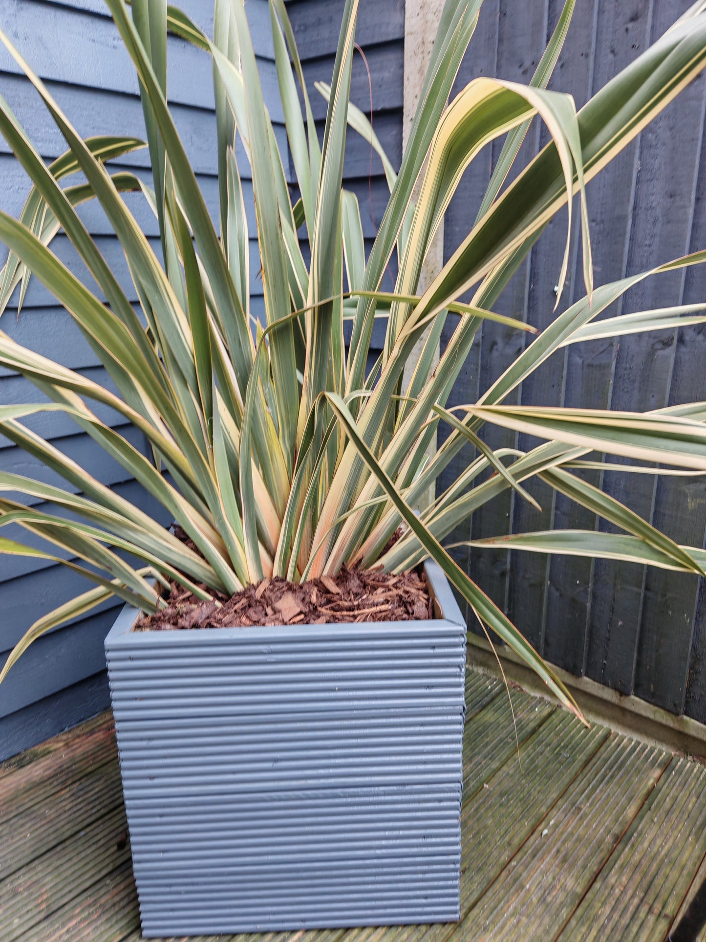 Square Wooden , decking Planter